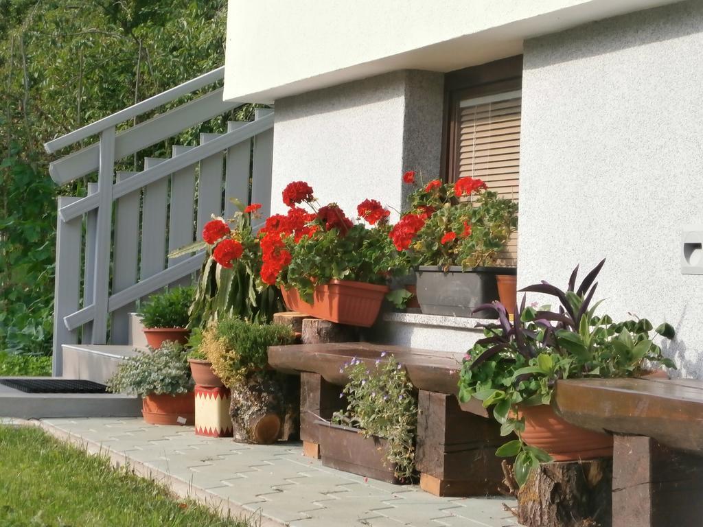 Apartment Zvan Bohinj Rom bilde