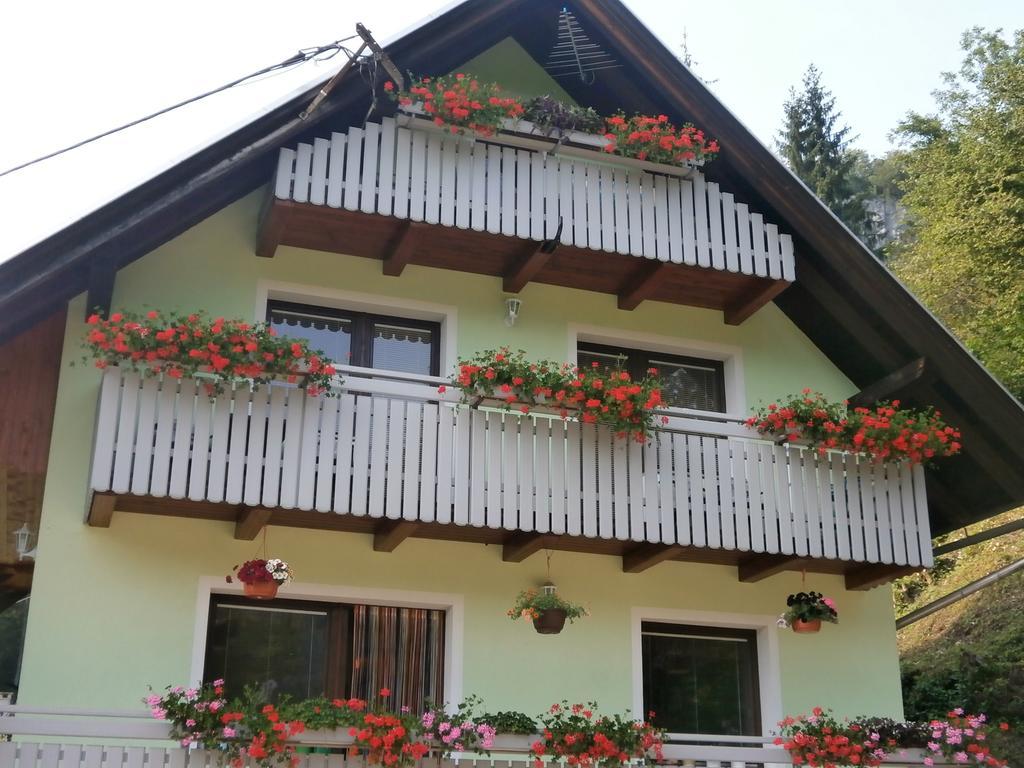 Apartment Zvan Bohinj Rom bilde